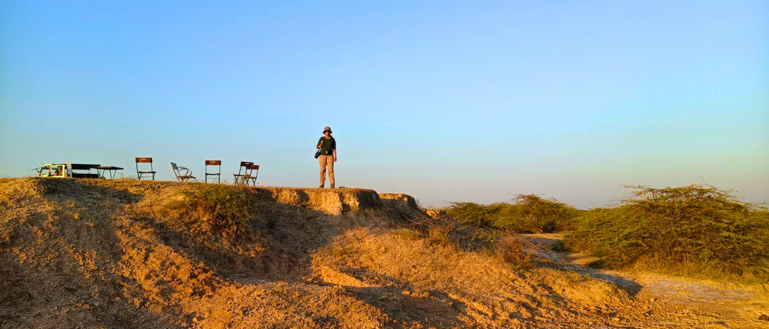 Eco-Friendly Wildlife Lodge in Gujarat