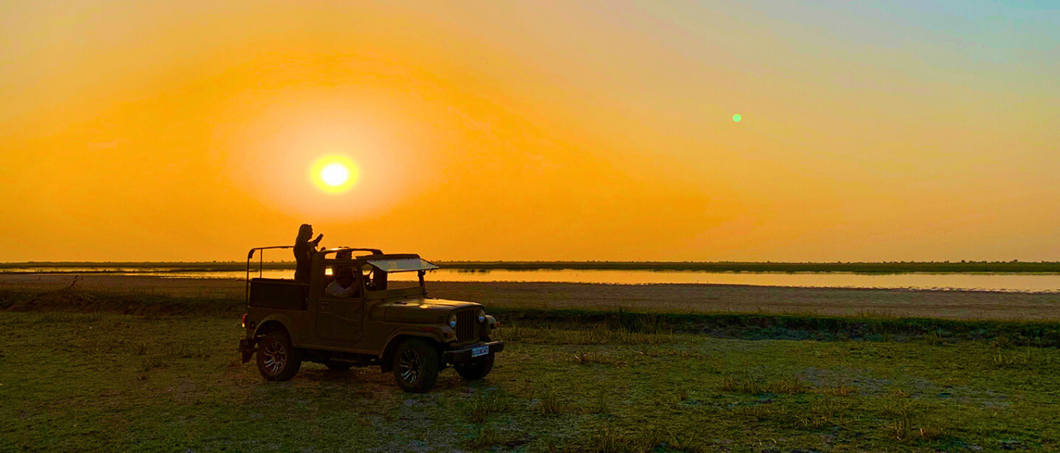 Little Rann of Kutch Safari Stay