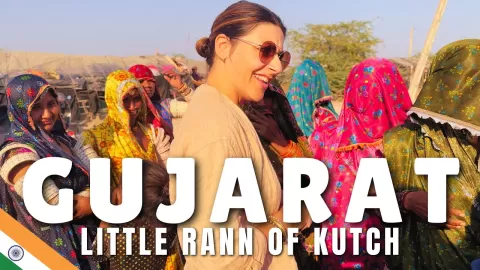 Embedded thumbnail for Wildlife and Tribes of The Little Rann of Kutch Gujarat